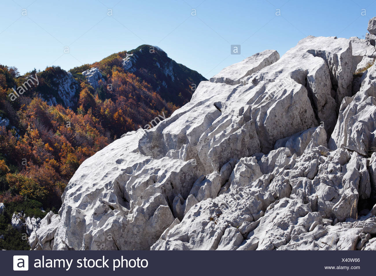 Karst Limestone Rocks High Resolution Stock Photography and Images Alamy