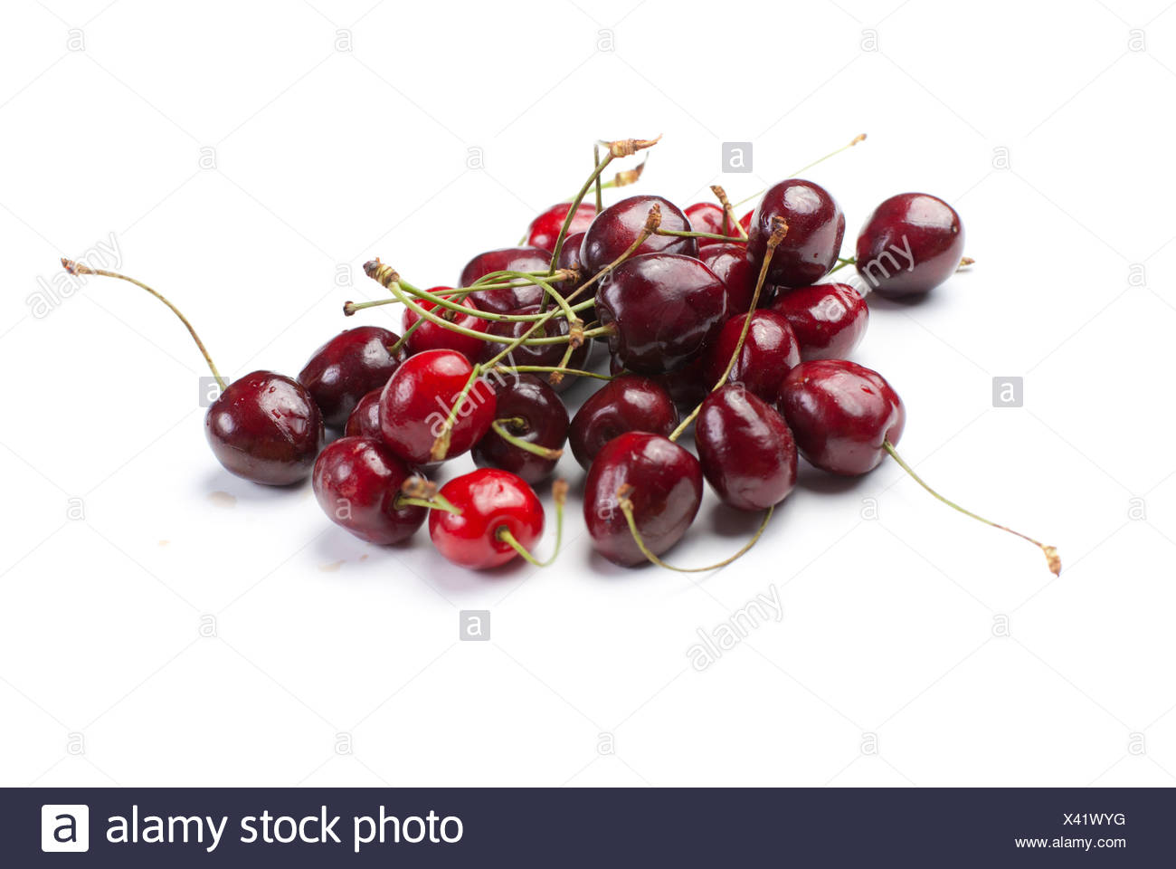Merry Cherry Stock Photo Alamy Merry Cherry Stock Photo Alamy