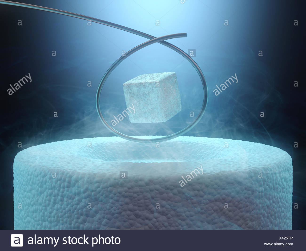 Levitation Of Superconductor High Resolution Stock Photography and