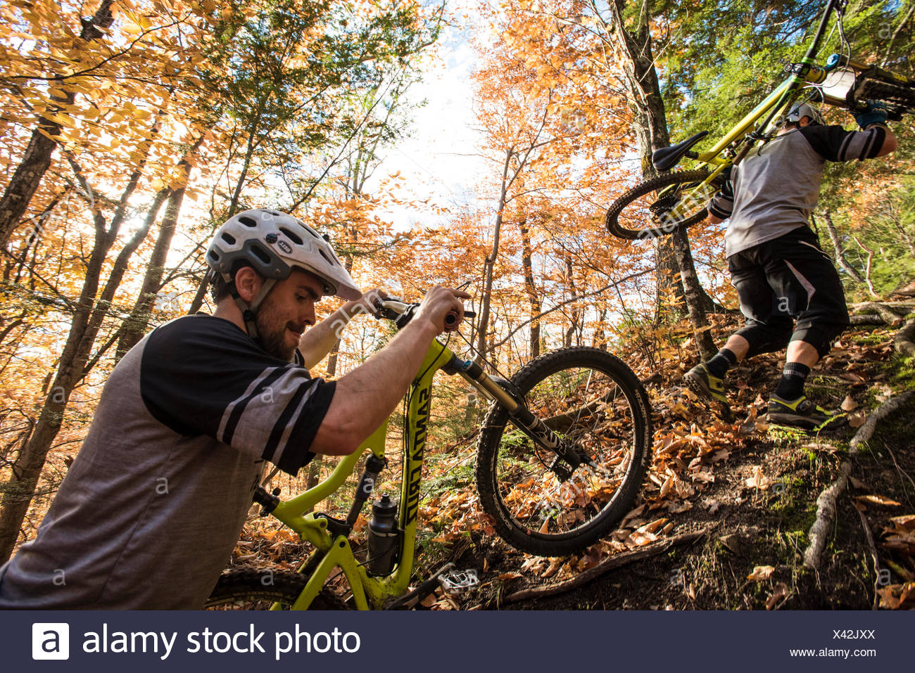 white mountain biking