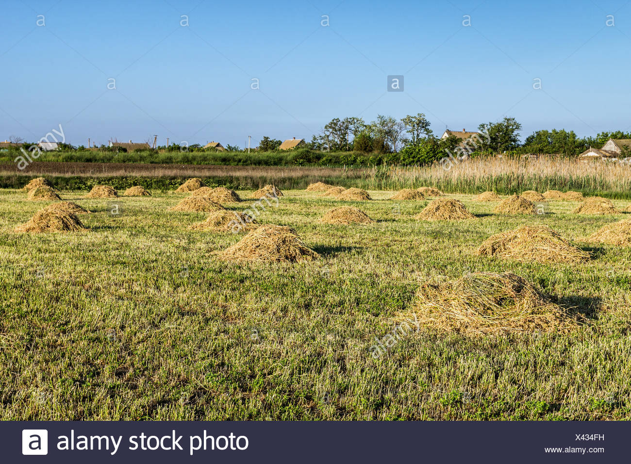 Hay Ricks High Resolution Stock Photography and Images Alamy
