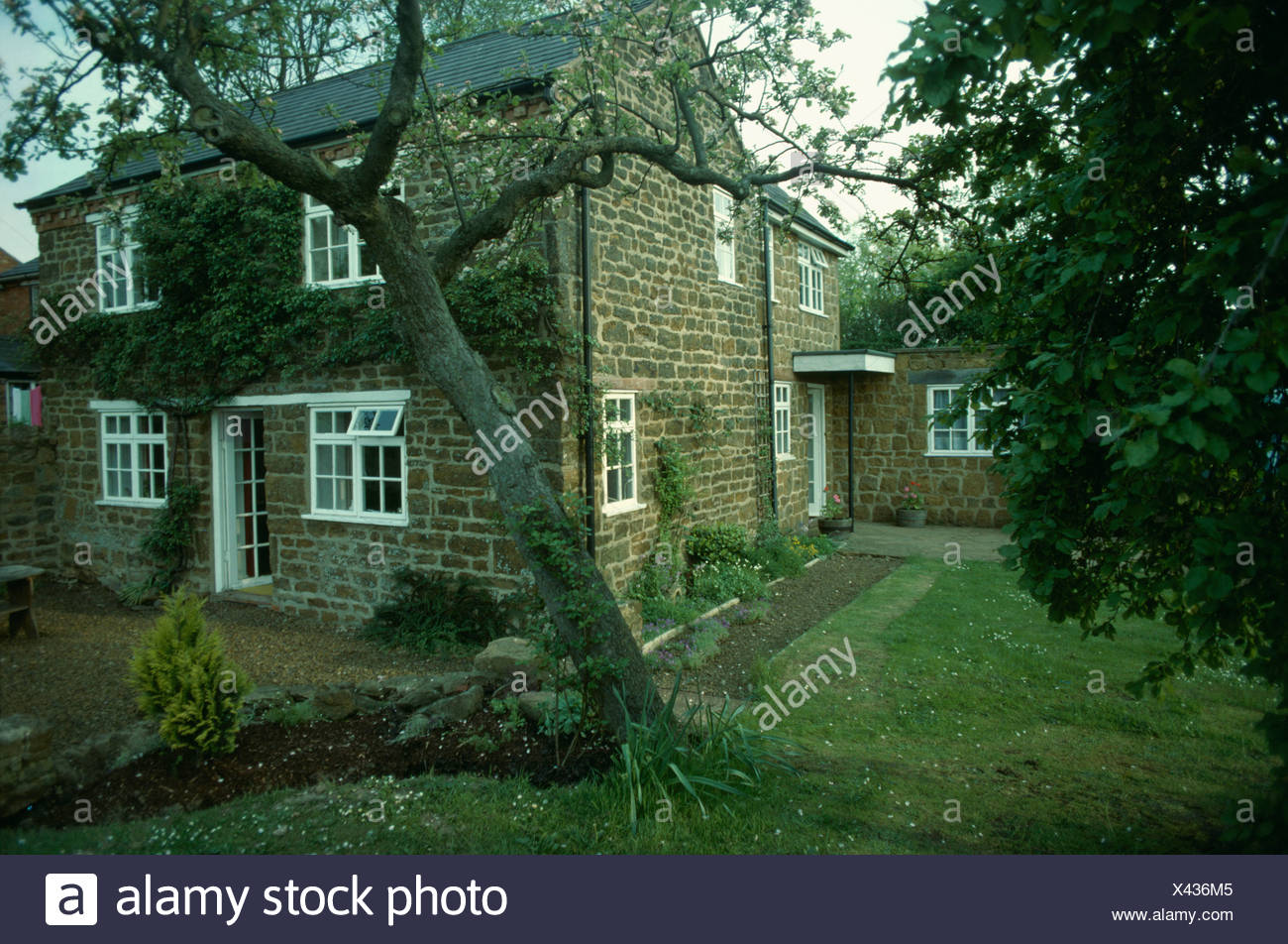 Tree On Lawn In Front Of Stone Cottage With Small Extension Stock
