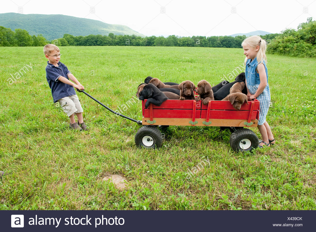 Kids Pulling Wagon High Resolution Stock Photography and Images - Alamy