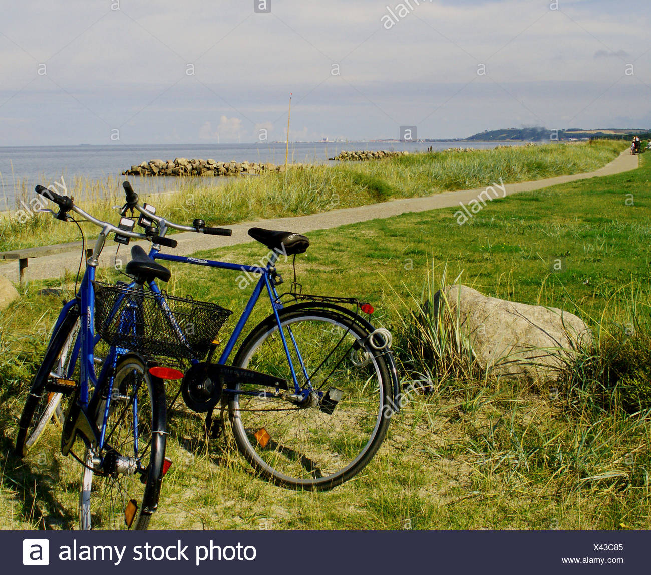 bluewater bikes