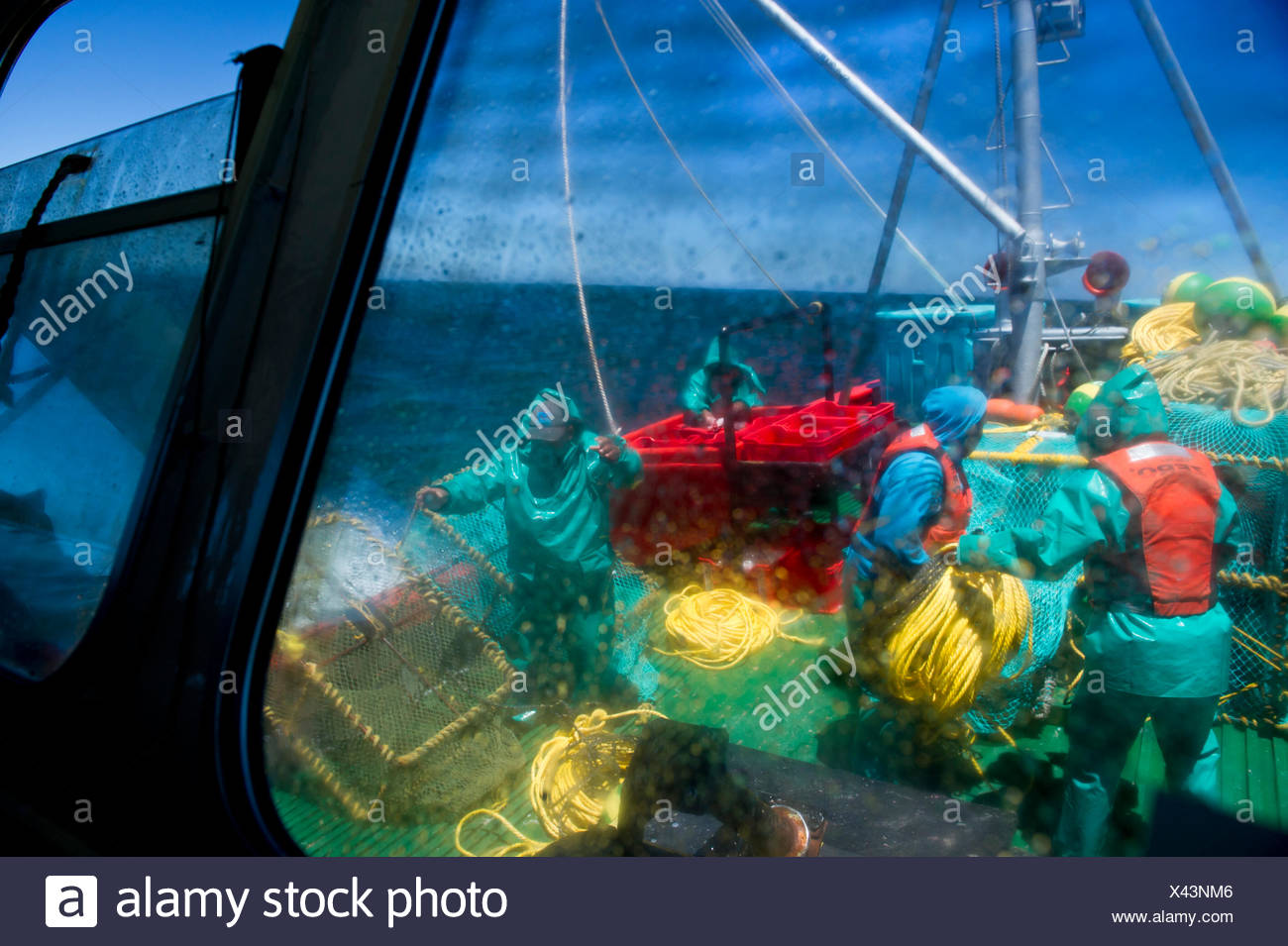 The Crew The James Archer Oceana Fisheries Throws Baited Lobster