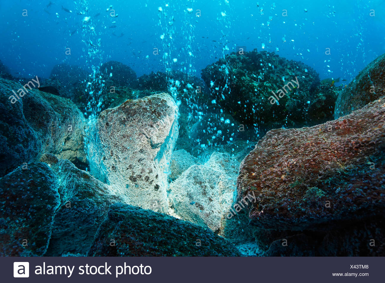 Volcanic Sea Rocks High Resolution Stock Photography and Images - Alamy