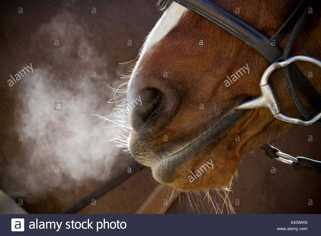 Why Do We Breathe Heavily After Exercise Online degrees