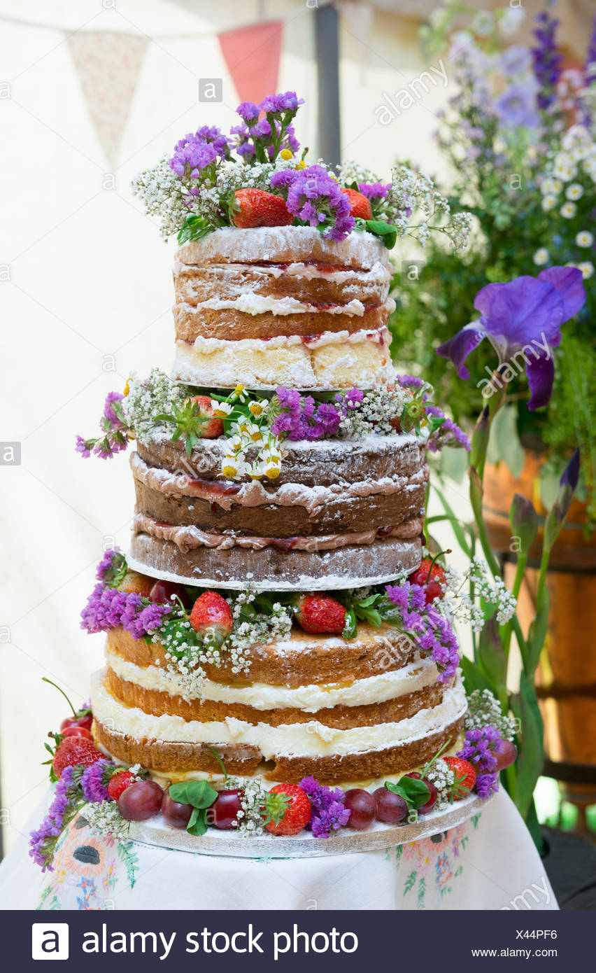 Sponge Cake With Fruit And Flowers Stock Photos Sponge Cake With