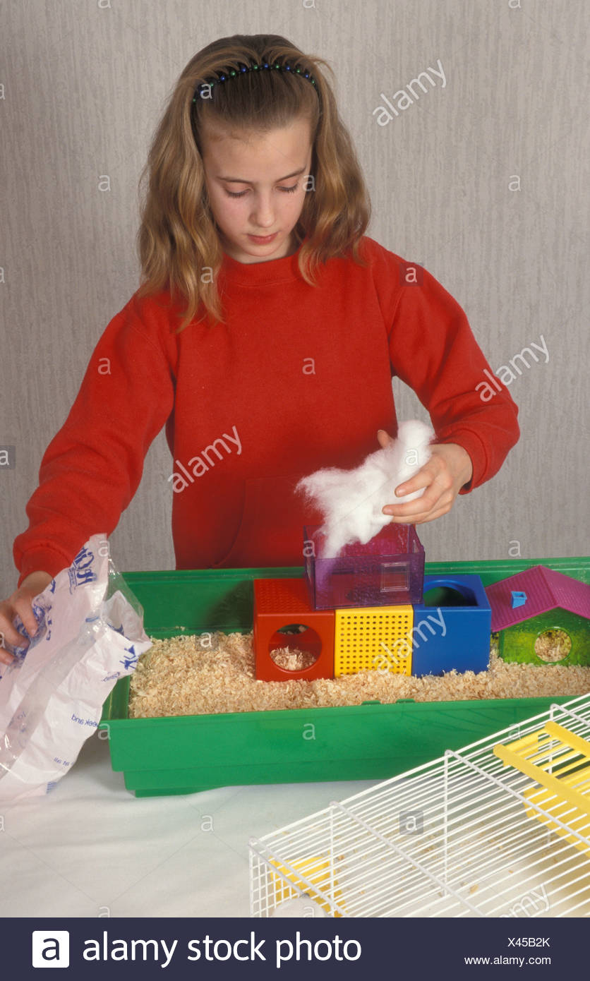 Gerbil Cage High Resolution Stock Photography and Images - Alamy