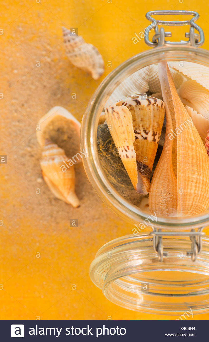 Download Composition Of Sea Shells In Glass Jar On Yellow Background Stock Photo Alamy PSD Mockup Templates