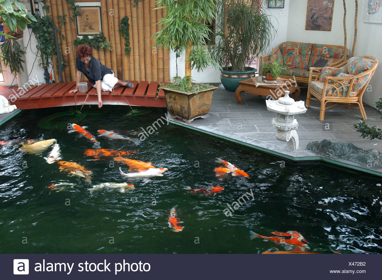 Indoor Gold Fish Pond - Best Decorations