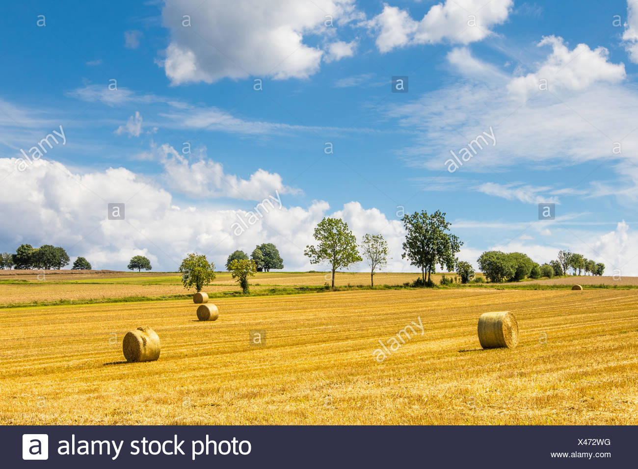 Round Grains Stock Photos Round Grains Stock Images Page 2 Alamy