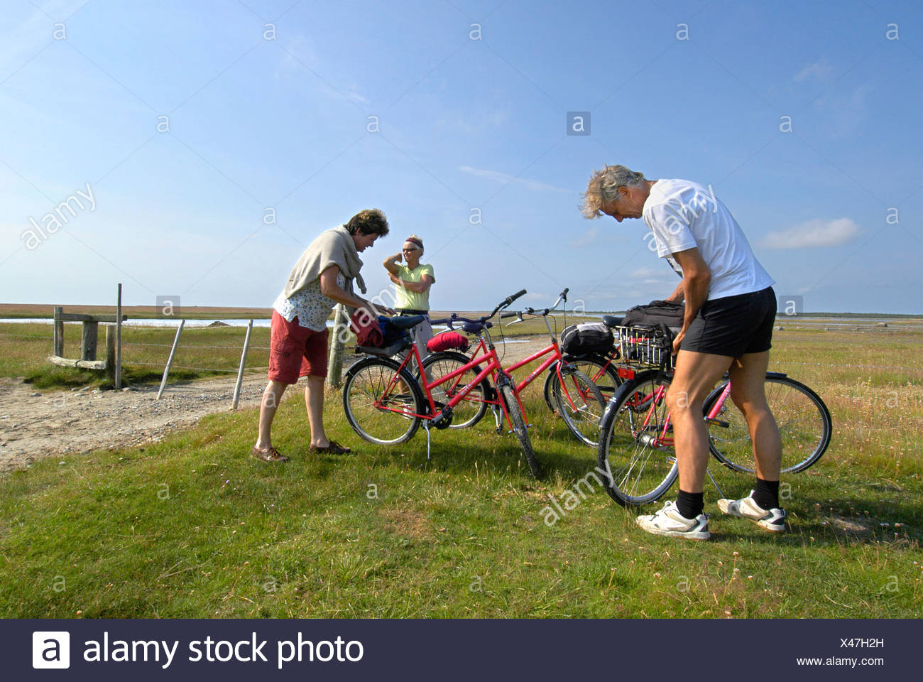blue sky bikes
