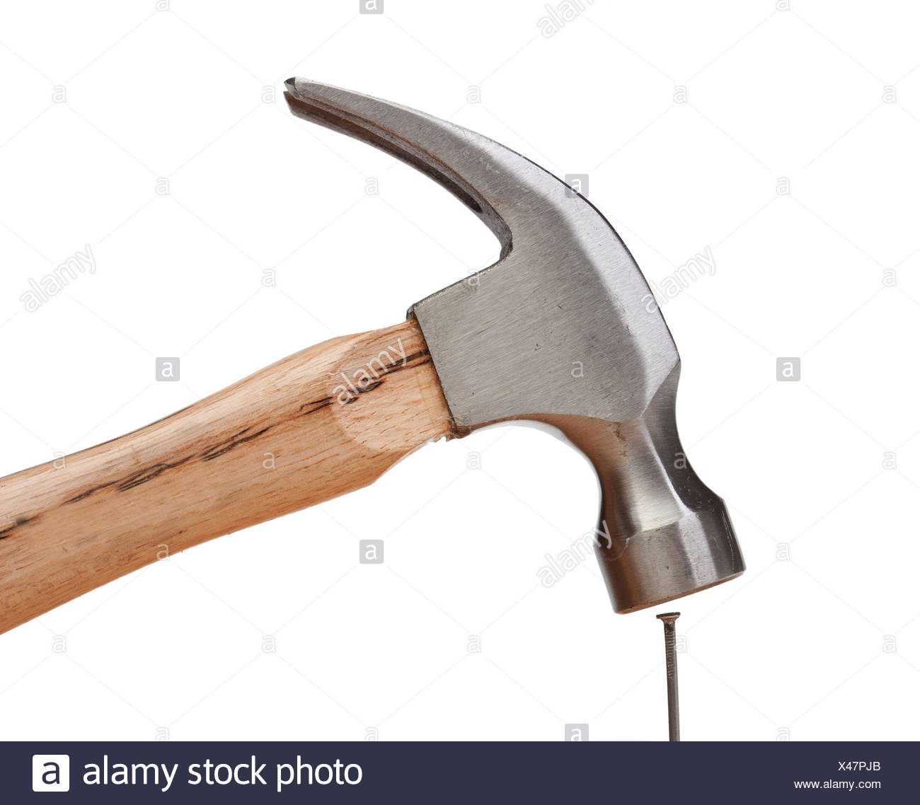 Hammer Hitting Nail On Head Stock Photos & Hammer Hitting Nail On Head