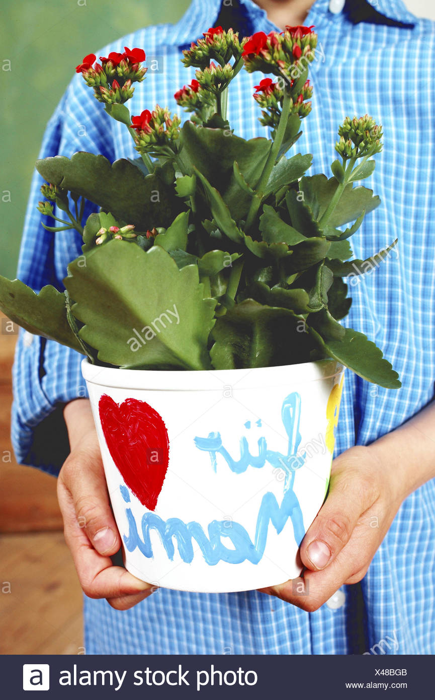 potted flowers for mother's day