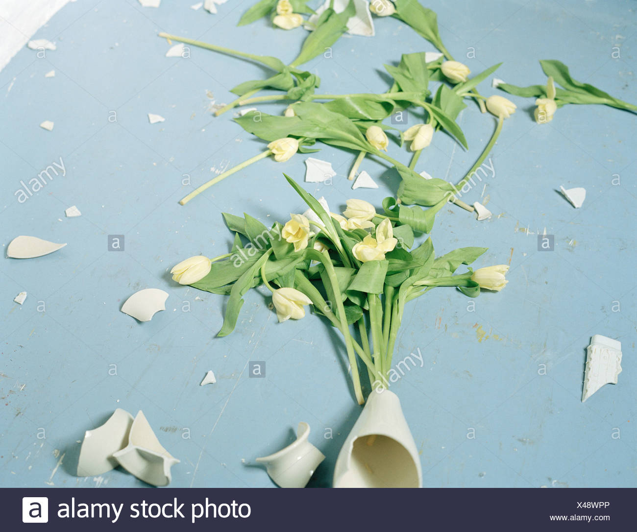 Broken Vase High Resolution Stock Photography and Images Alamy