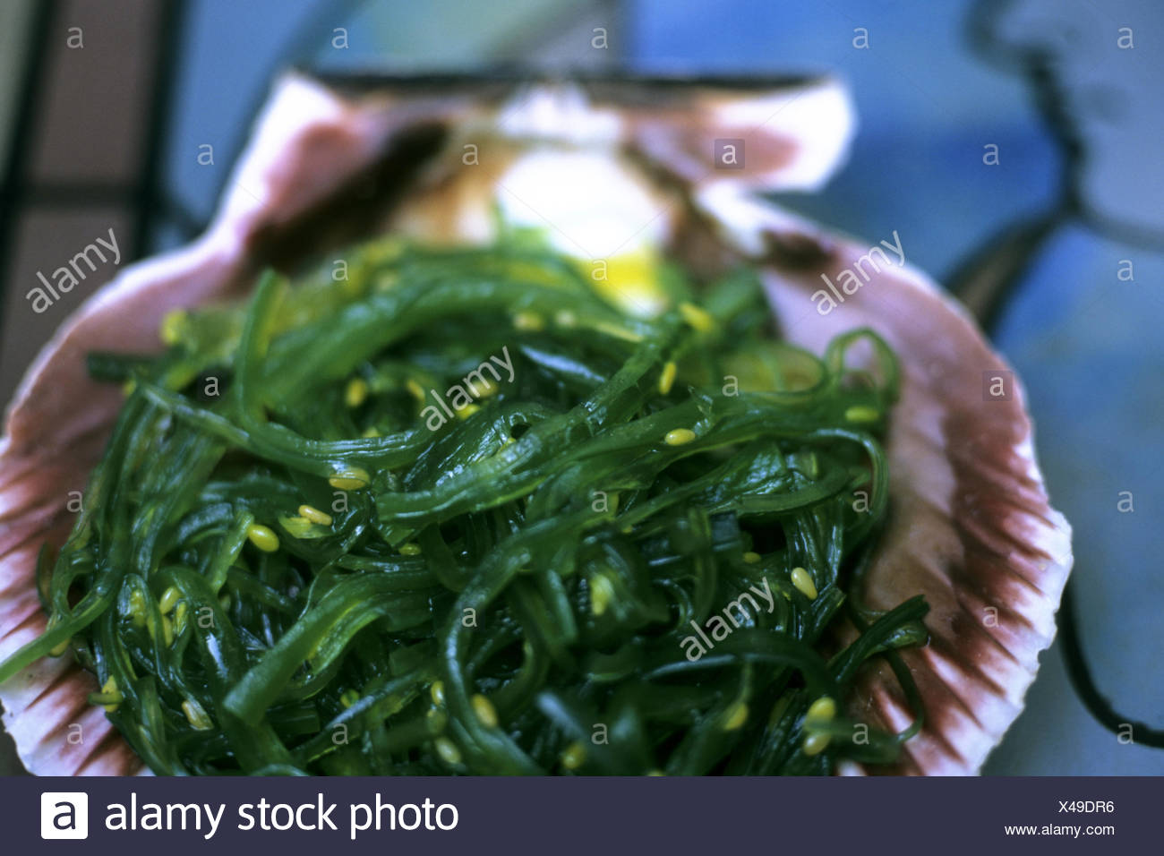 which seaweed is edible