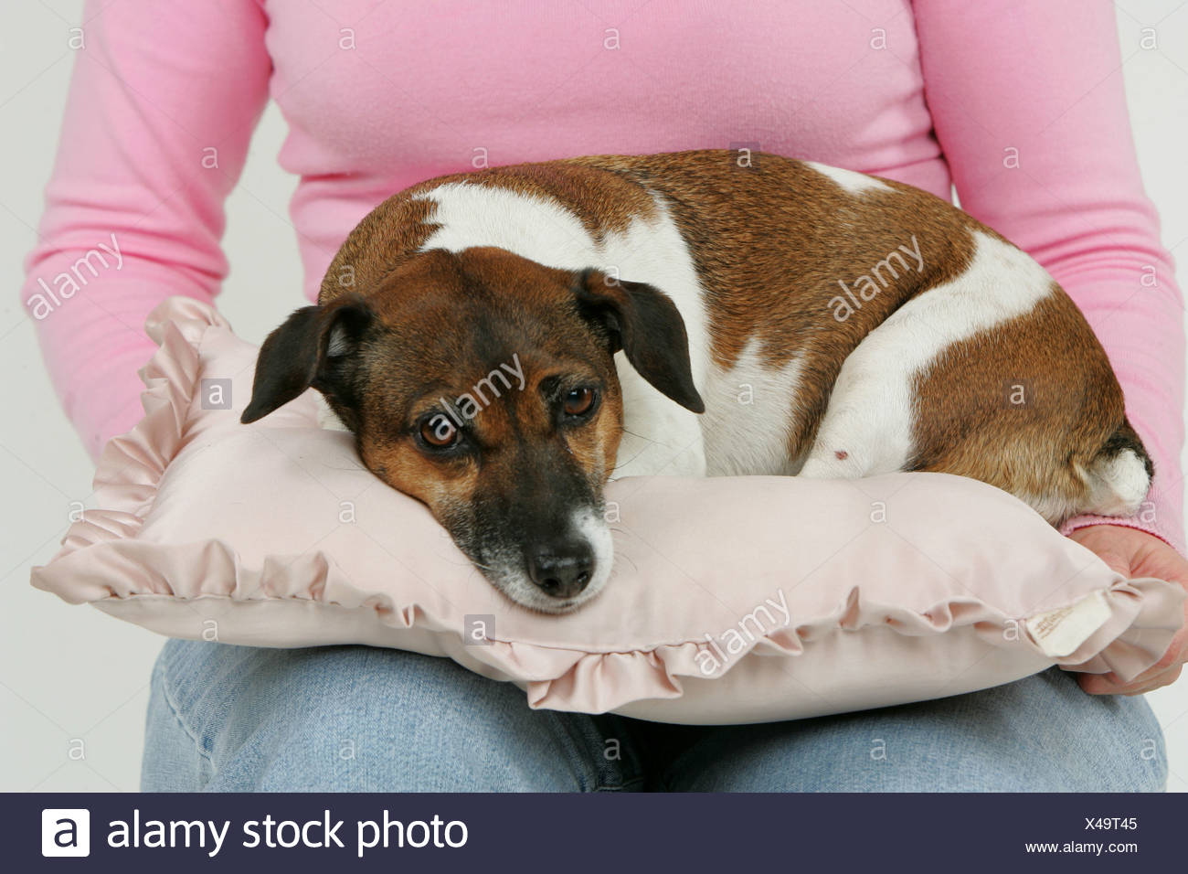 Bosom Pillow Stock Photos Bosom Pillow Stock Images Alamy