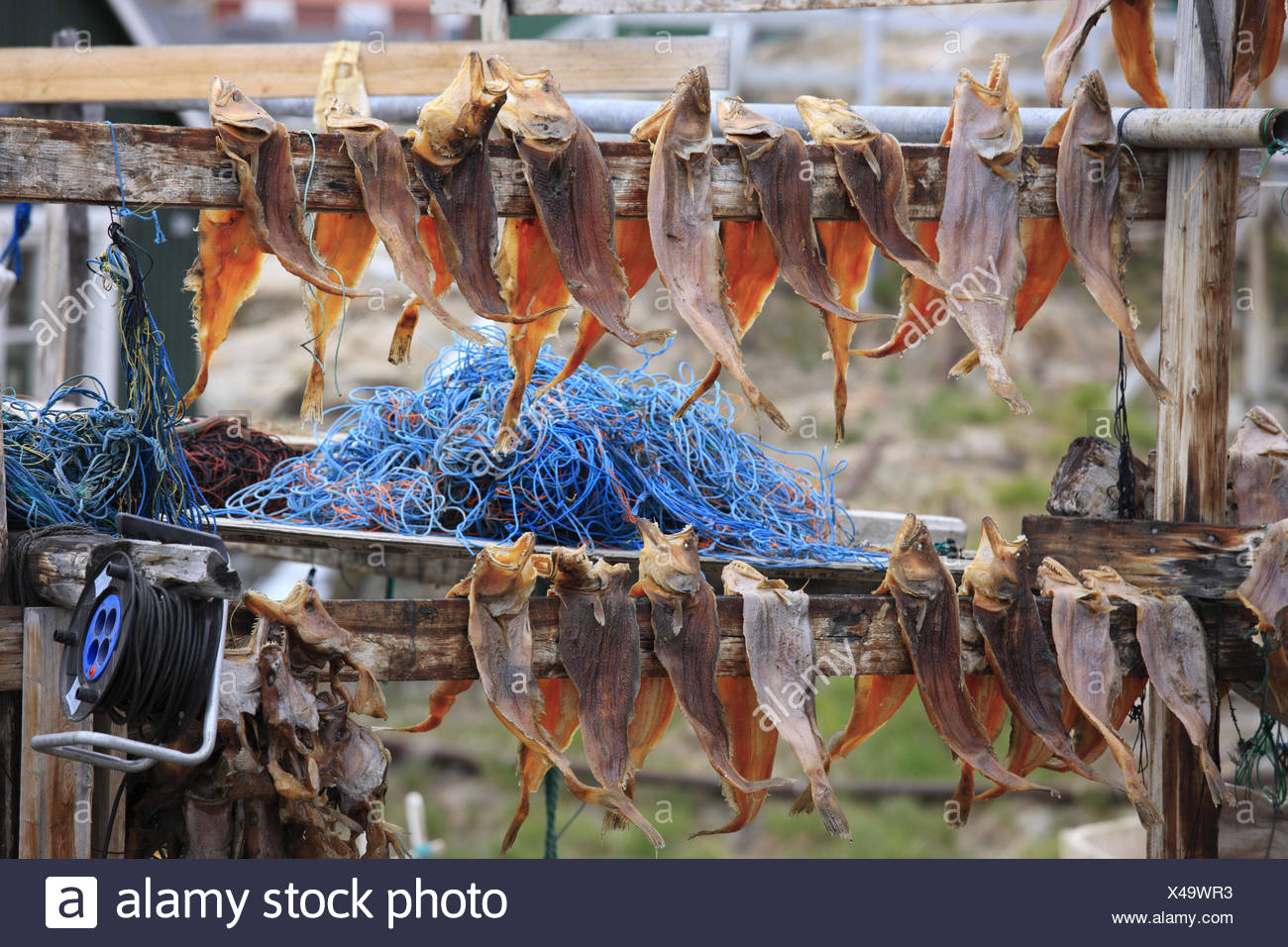 How to dry fish outside