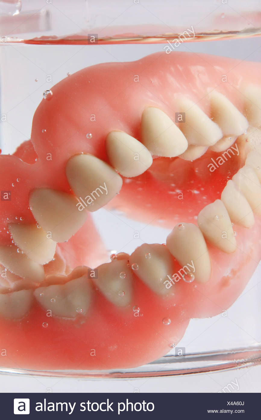Artificial dentures in a water glass Stock Photo