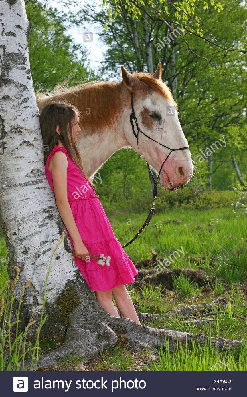Criollo Horse Equus Przewalskii F Caballus Girl Making A Pause With Her Hourse In A Birch Forest Stock Photo Alamy
