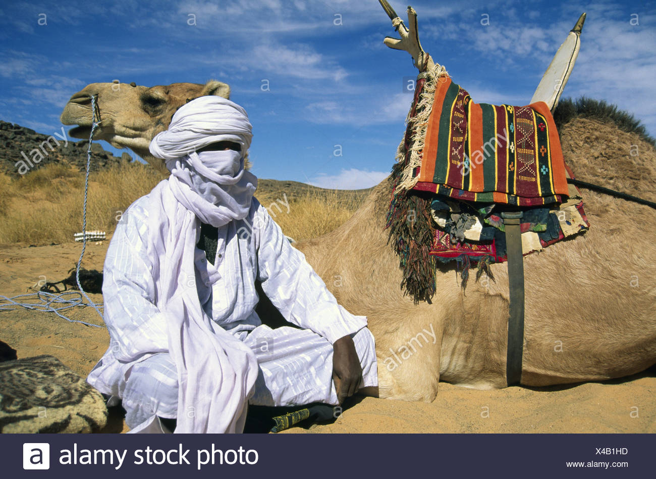 Tuareg Libya Africa local man camels nomadic people nomad nomads ...