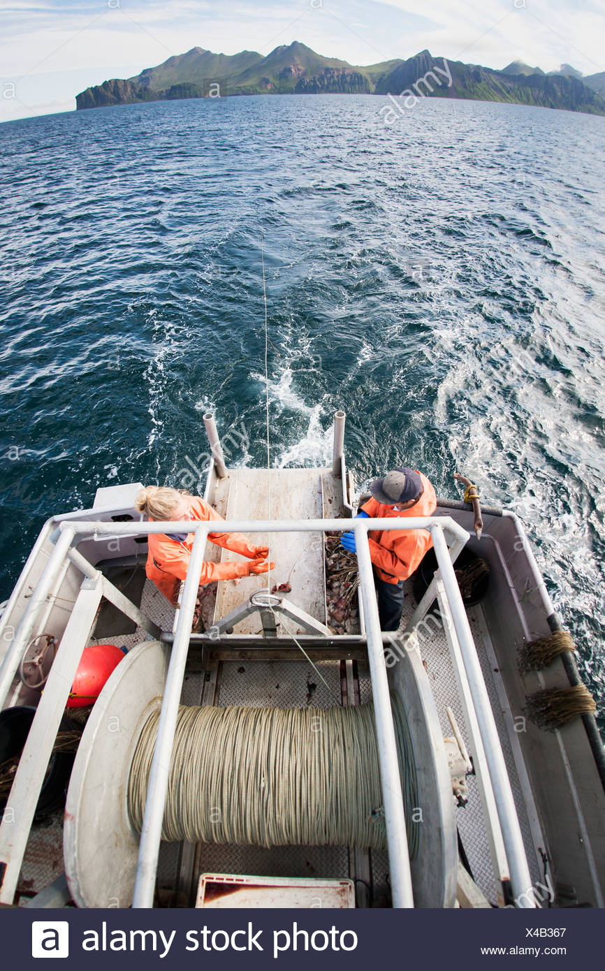 Commercial Halibut Fishing Longline Hooks Stock Photos & Commercial