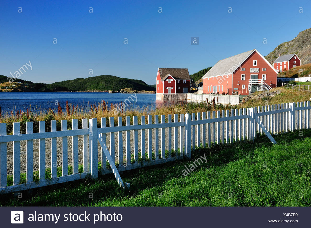 Trinity Newfoundland Canada Houses Stock Photos & Trinity Newfoundland