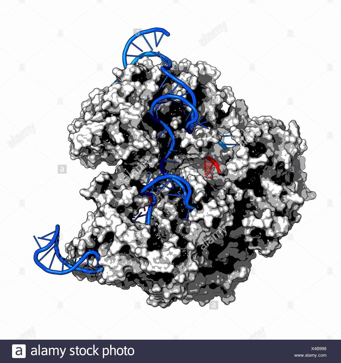 Crispr Cas9 Gene High Resolution Stock Photography and Images - Alamy