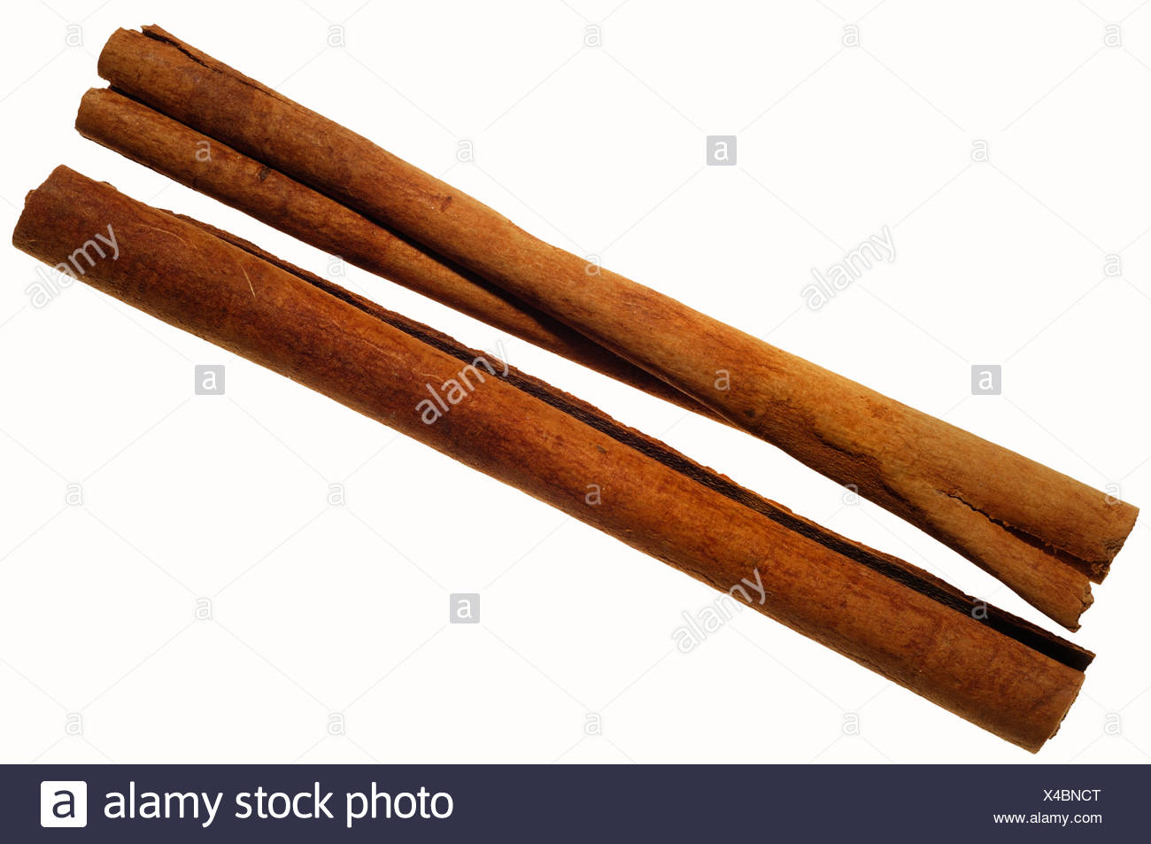 Cinnamon sticks (Cinnamonum) Stock Photo