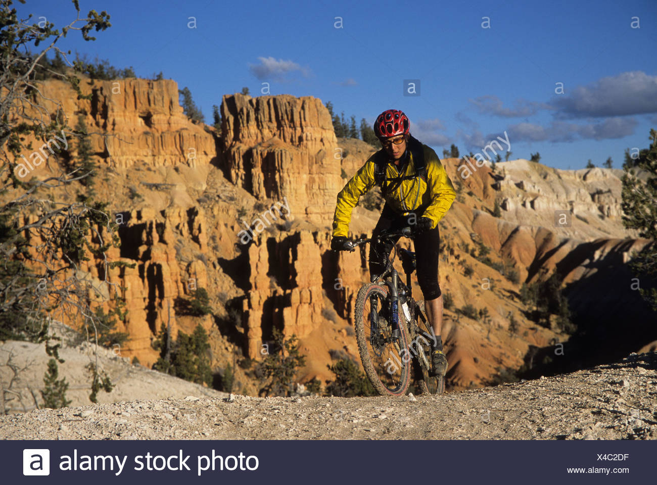 thunder mountain bike trail