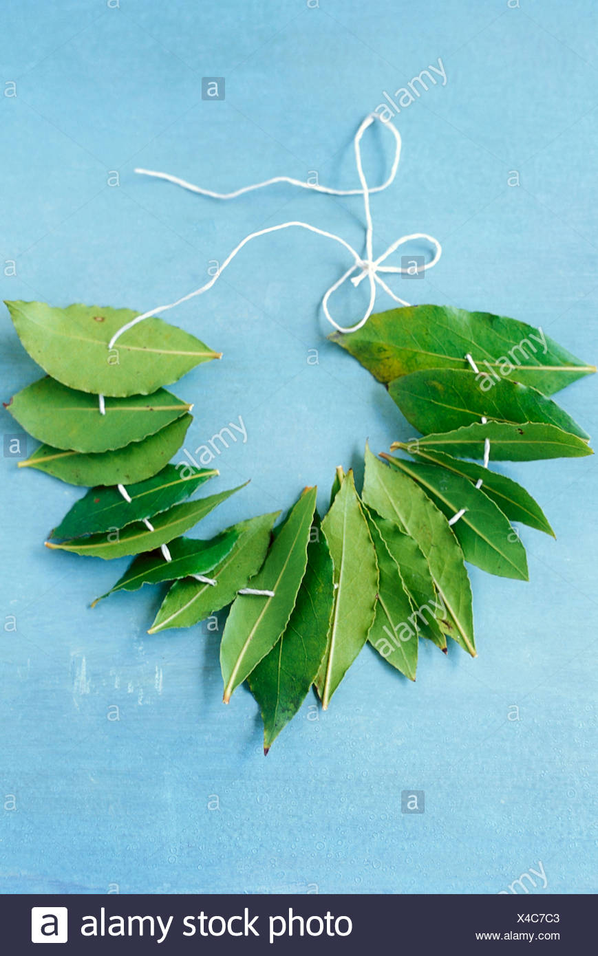 Bay_leaf_crown High Resolution Stock Photography and Images Alamy