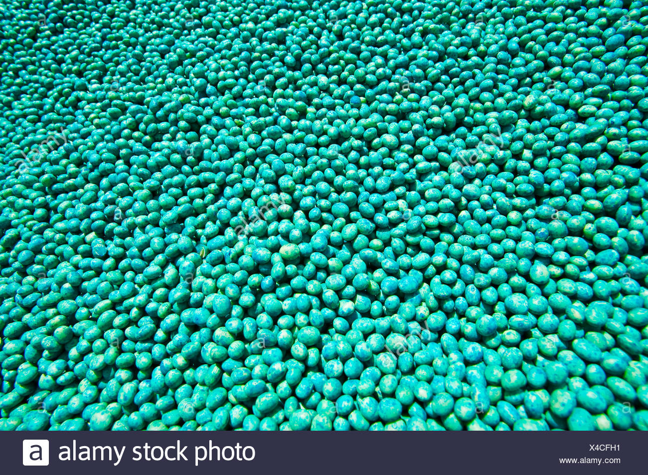 Soybean Seeds High Resolution Stock Photography and Images Alamy