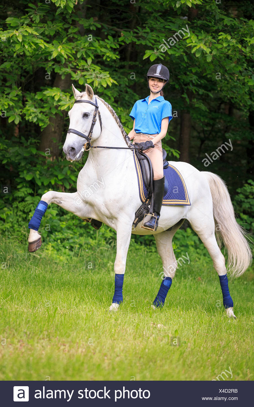 Horse Rider Performing Spanish Walk High Resolution Stock Photography