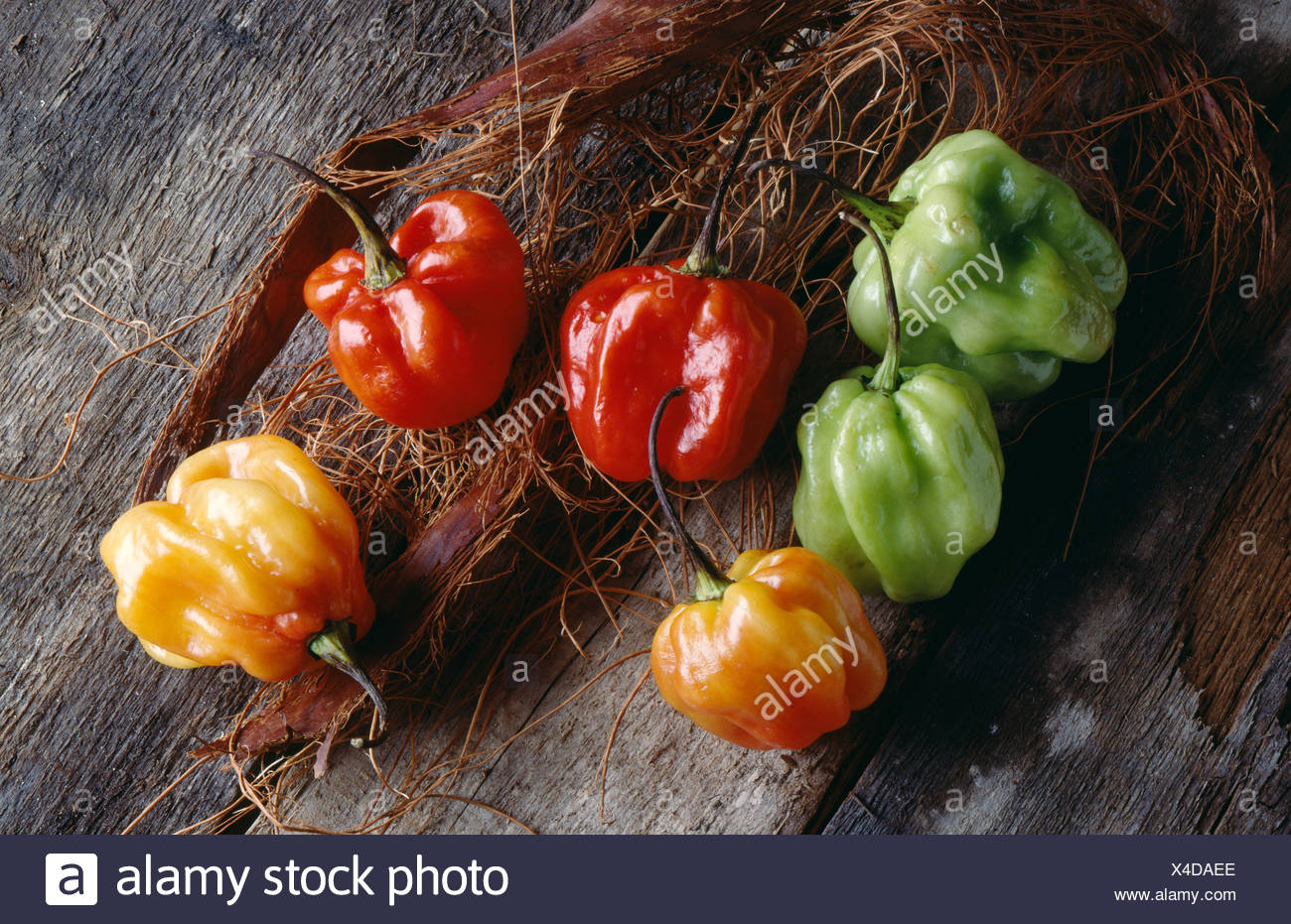 West Indian Stock Photos & West Indian Stock Images Alamy