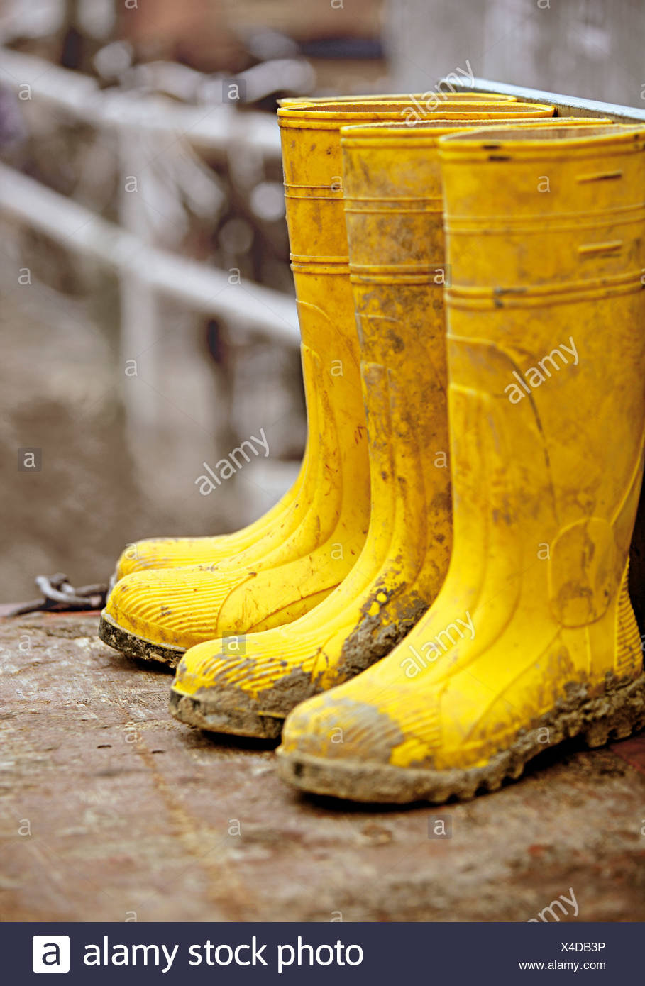 Wellington Boots Mud Stock Photos & Wellington Boots Mud Stock Images