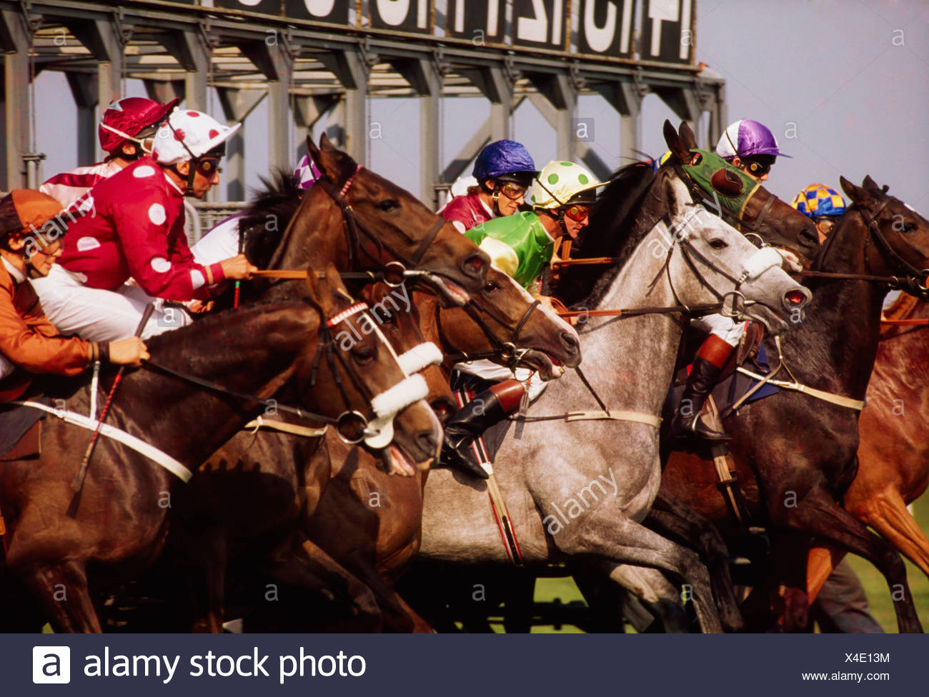 Irish_horse_racing Stock Photos & Irish_horse_racing Stock Images Alamy