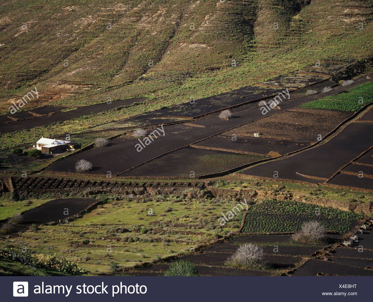 Landwirtschaft, Lanzarote High Resolution Stock Photography and Images