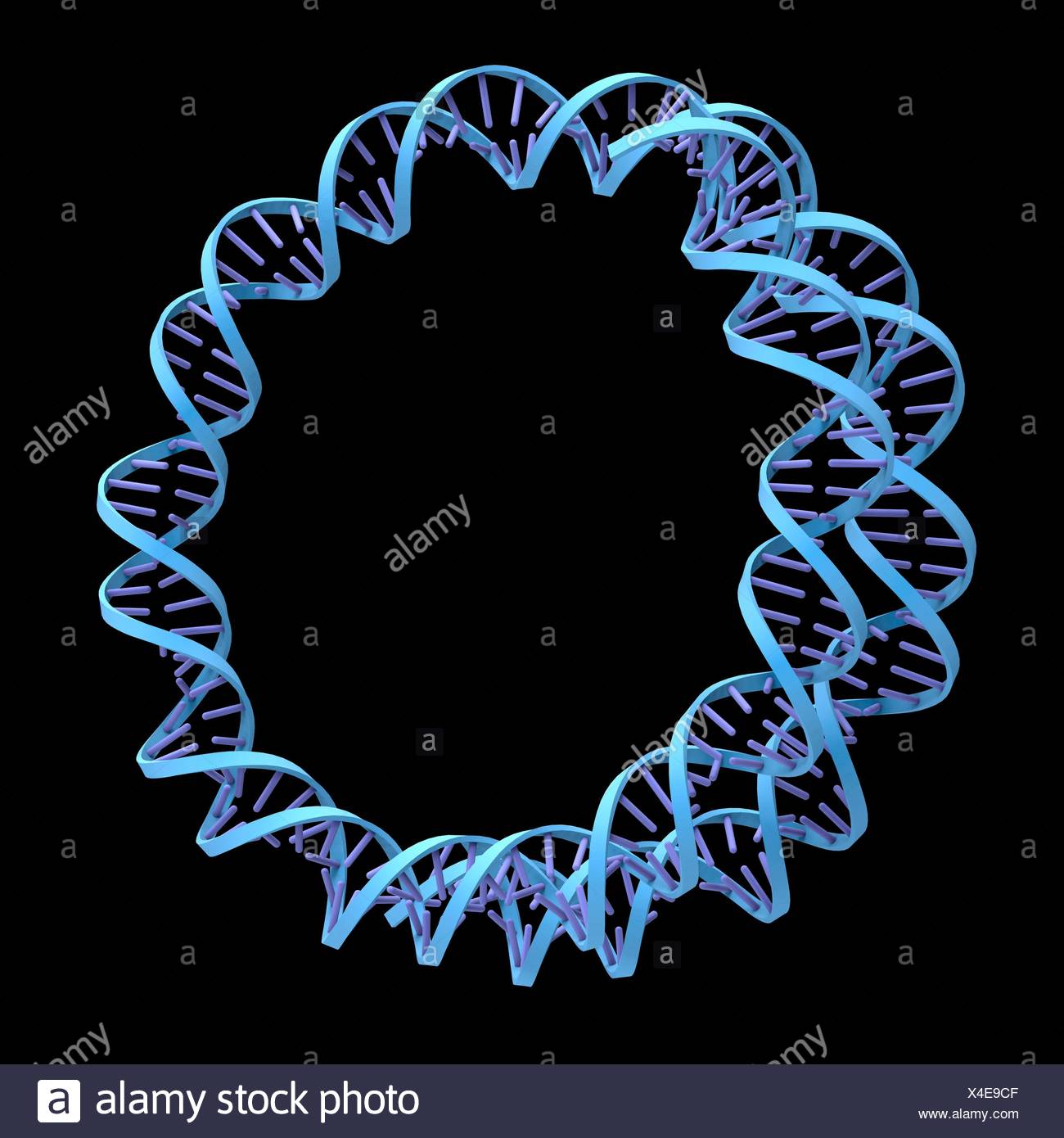 Кольцевидная молекула днк. Кольцевидная молекула днк. Кольцевая молекула днк бактерий. Плазмиды бактерий строение. Строение кольцевой молекулы днк.