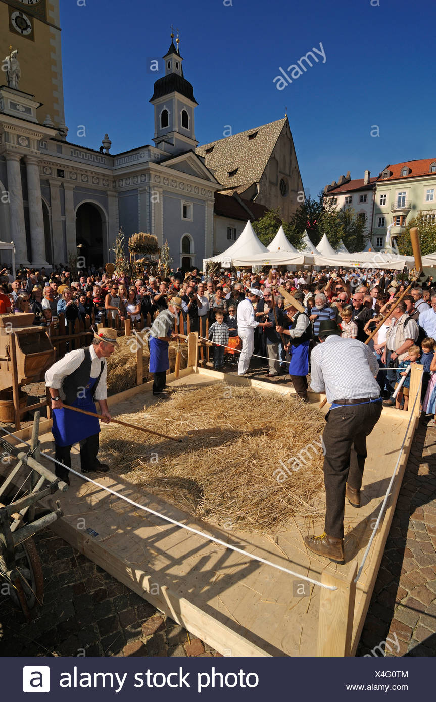 English Harvest Festival Harvest Festival Stock Photos Harvest Festival Stock English Harvest Festival Harvest Festival Stock Photos Harvest Festival Stock