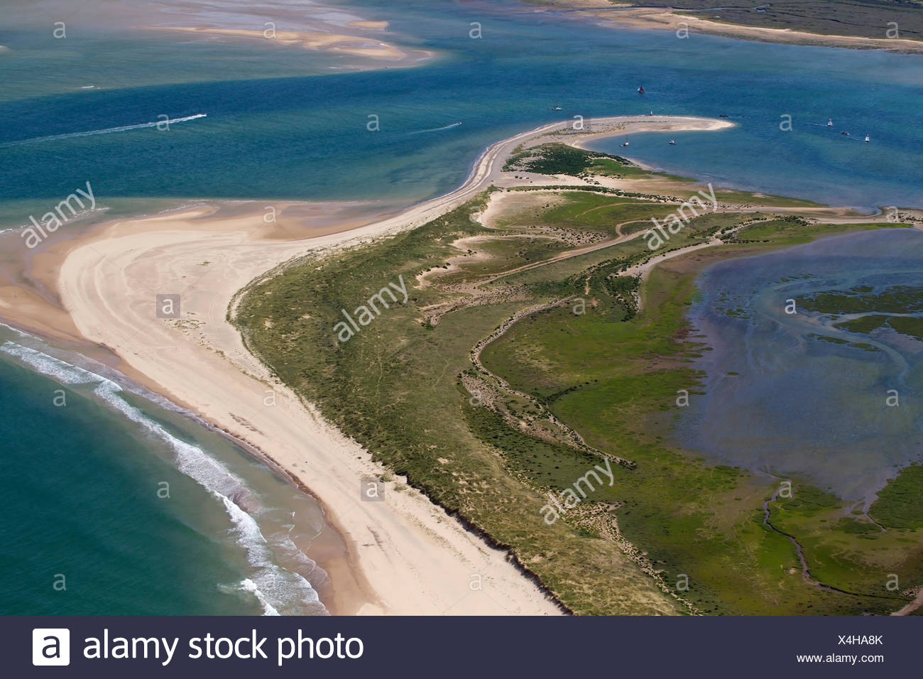https://c8.alamy.com/comp/X4HA8K/aerial-of-blakeney-point-national-nature-reserve-national-trust-summer-norfolk-uk-X4HA8K.jpg