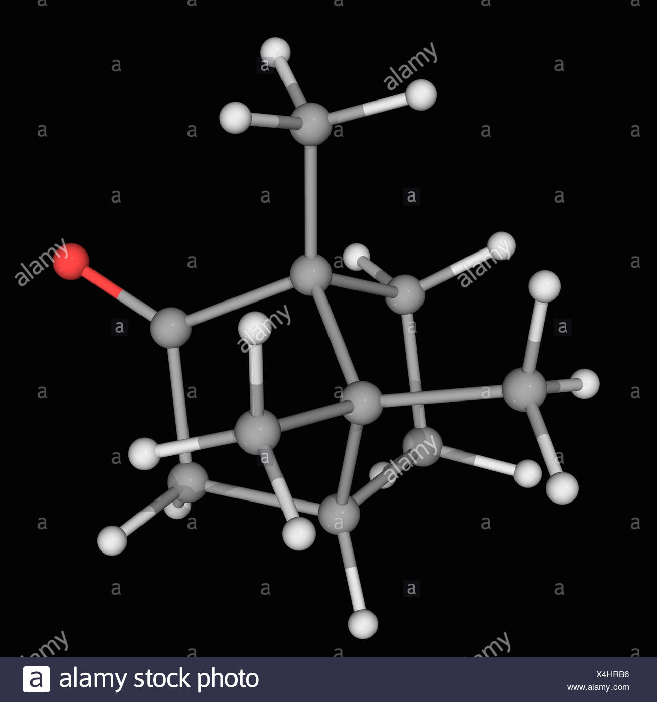 Camphor Molecule Stock Photos & Camphor Molecule Stock Images Alamy