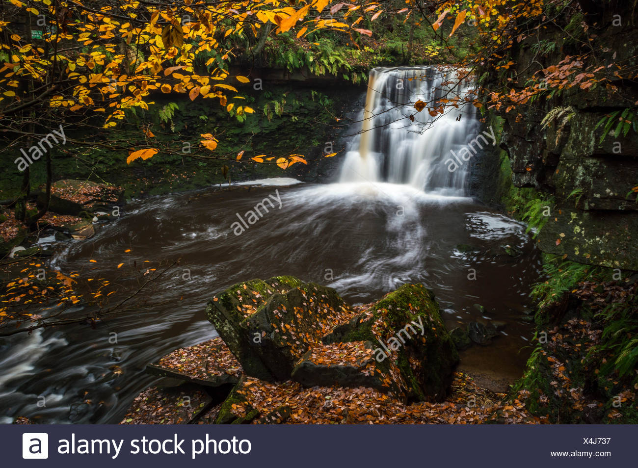 Goit Stock Photos & Goit Stock Images Alamy