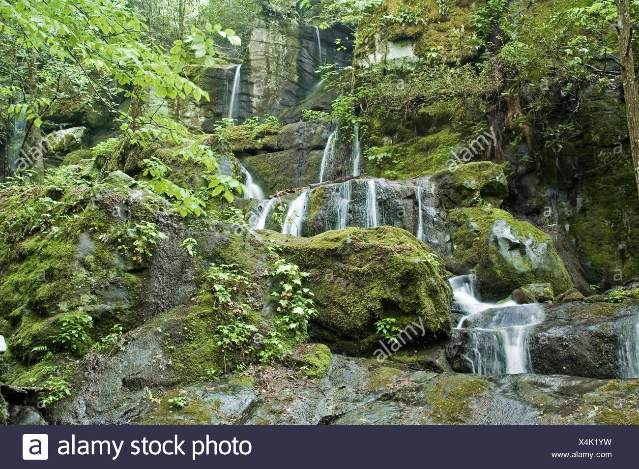 The Place Of A Thousand Drips High Resolution Stock Photography And Images Alamy