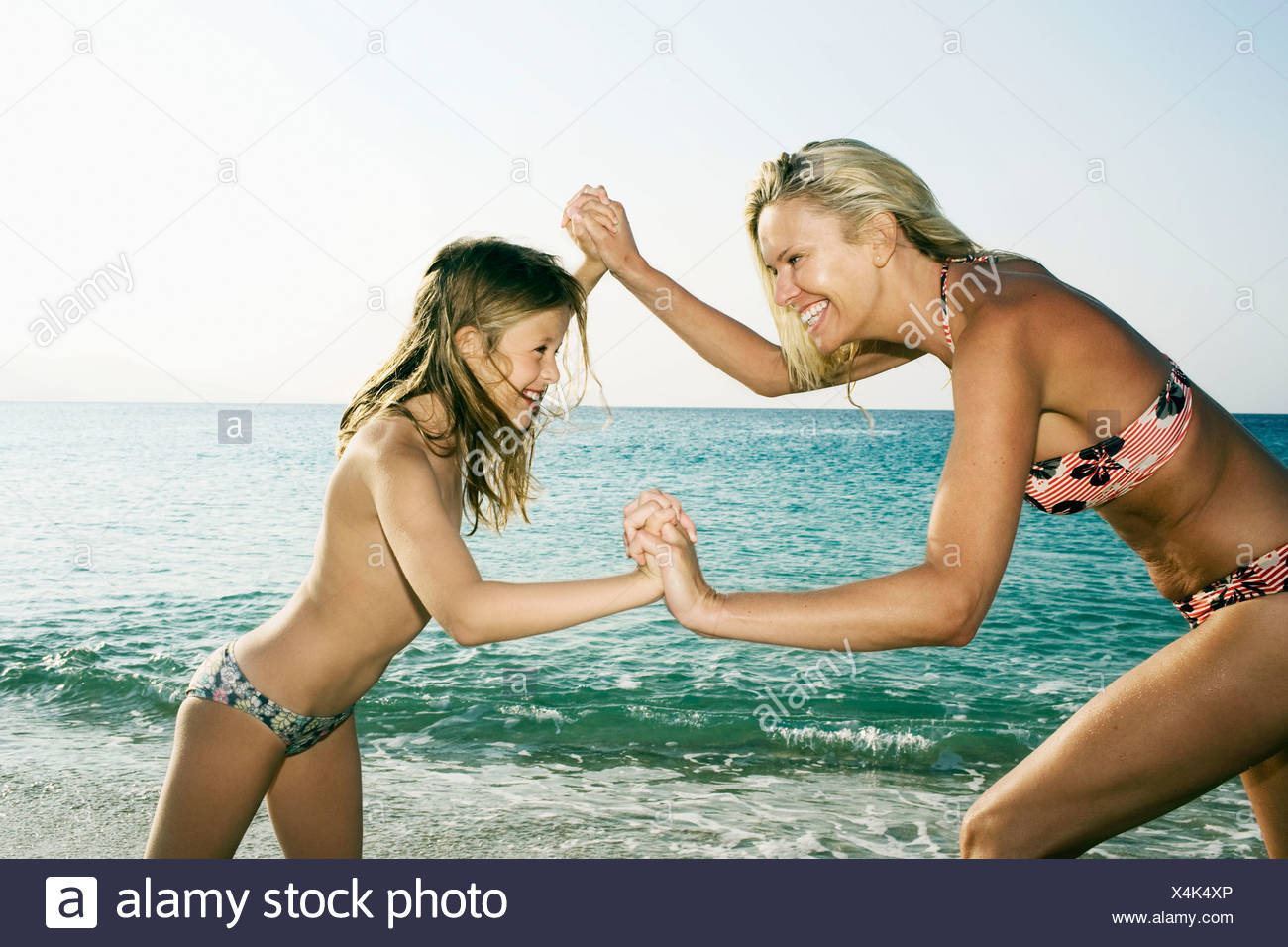 Bch Kaufen Bch Kaufen