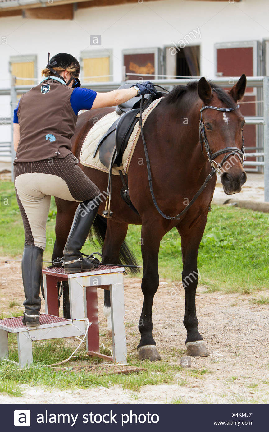 Horse Mounting Steps Stock Photos & Horse Mounting Steps Stock Images