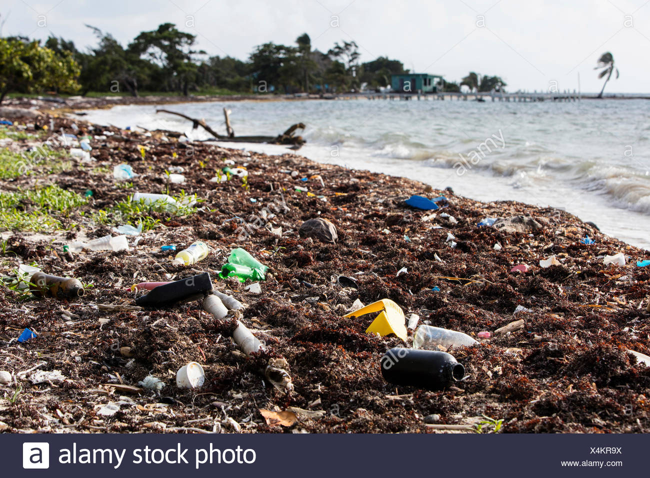 Sea Pollution Caribbean High Resolution Stock Photography and Images