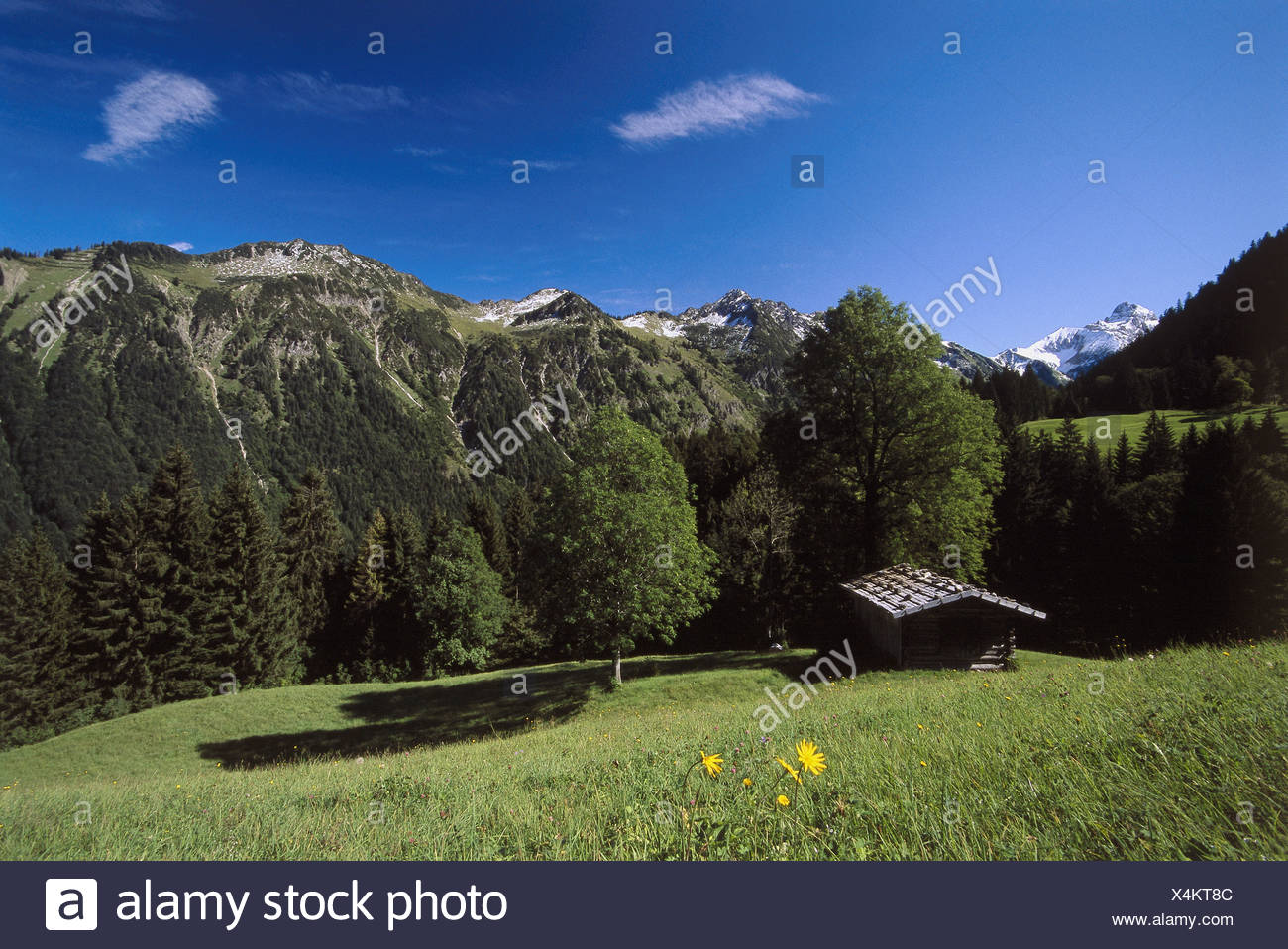 Germany Oberallgau Gerstrubental Gerstruben 1154m Barns Highland