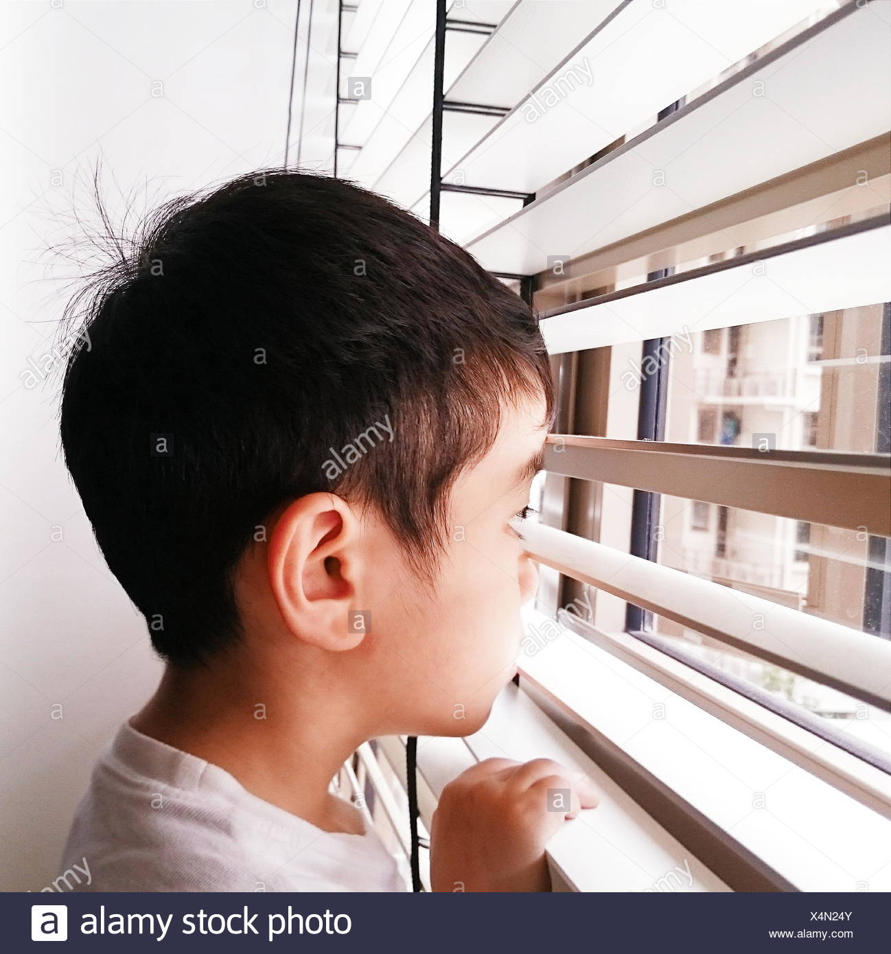 Portrait of a boy looking through the window Stock Photo