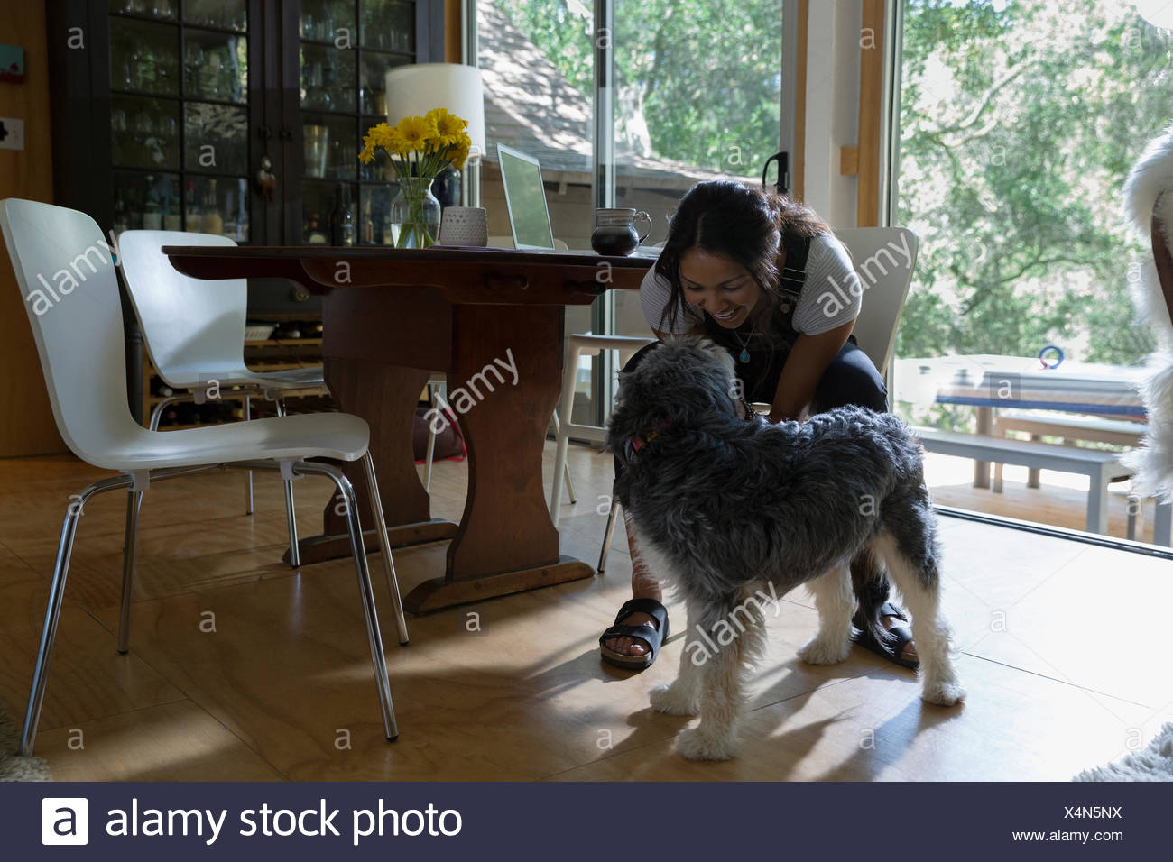 Dog Licking Woman Stock Photo 278290038 Alamy